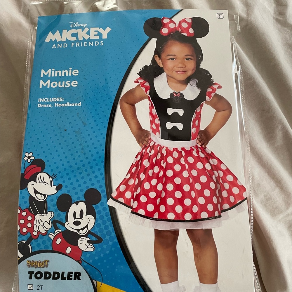 Minnie Mouse costume